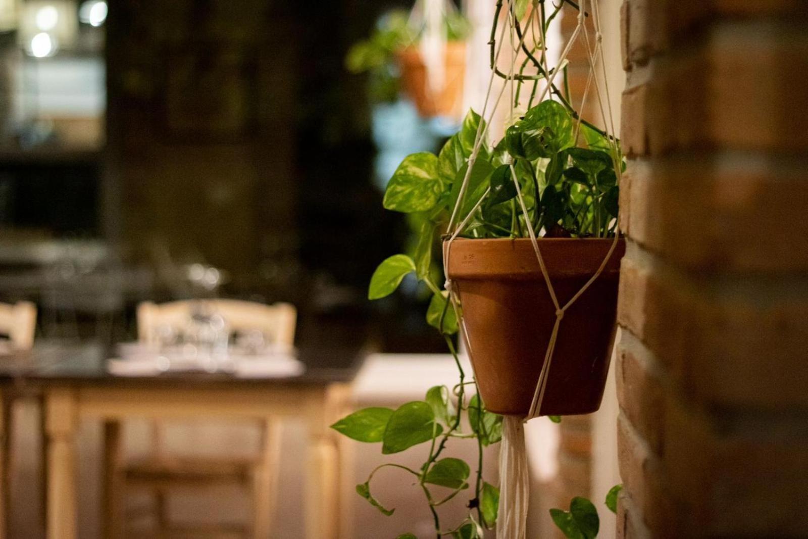 Agricola Casa Cucina Bottega Cesena Exterior foto